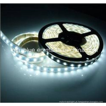 DC12V / 24V 60LEDs / M 5630 SMD Iluminação de Faixa de LED